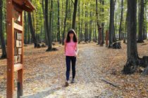 procházky v přírodě