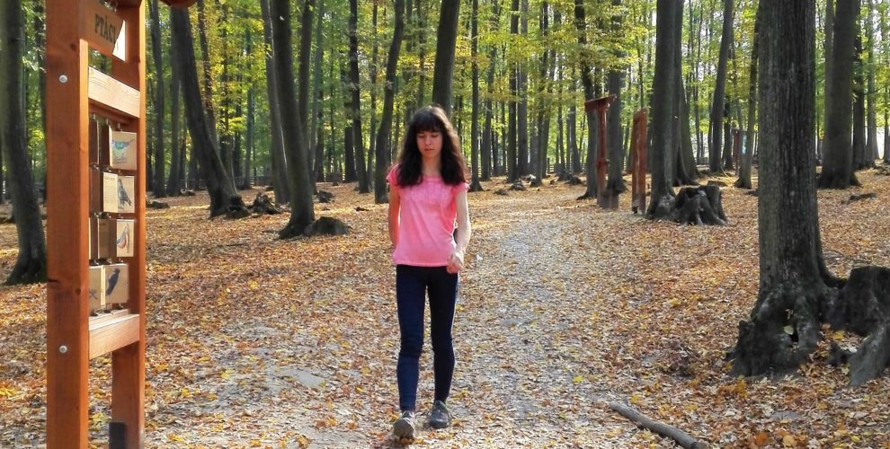 procházky v přírodě