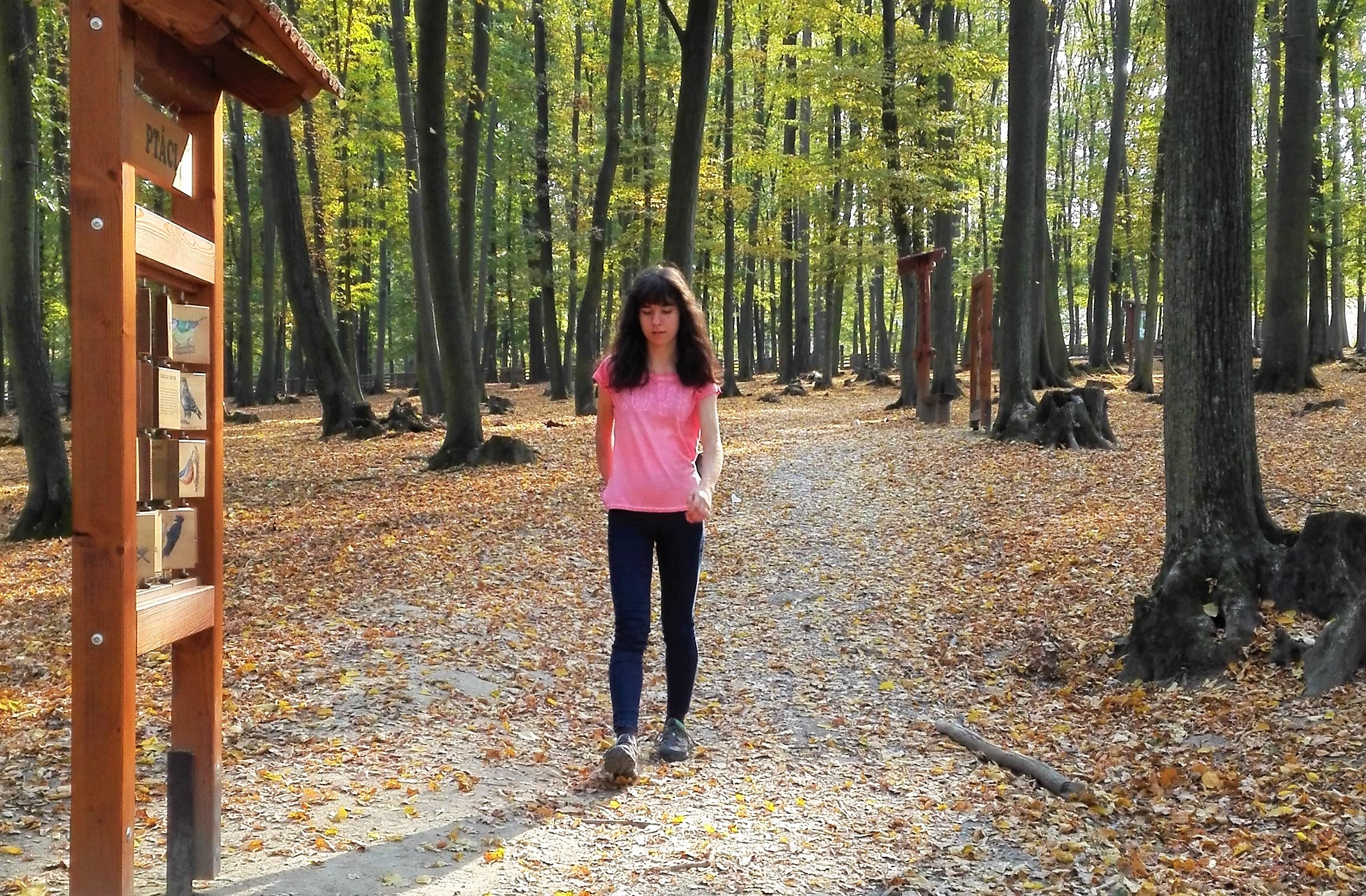 procházky v přírodě